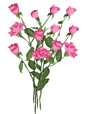 Rosas - GIF animado gratis