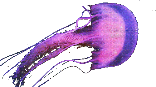 Медуза - Nemokamas animacinis gif