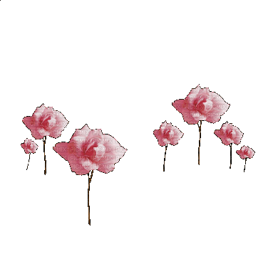 Цветок - Ücretsiz animasyonlu GIF