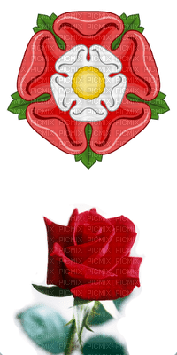 tudor and red roses - zadarmo png