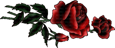 Red rose - Nemokamas animacinis gif