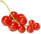 Kaz_Creations Fruits - PNG gratuit