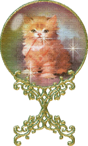 kitten globe - Gratis animeret GIF
