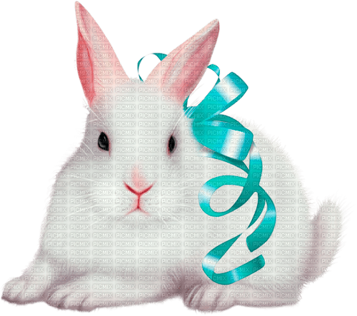 Y.A.M._Easter rabbit - darmowe png
