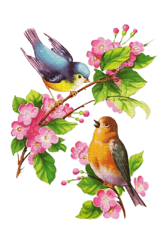 Kaz_Creations Birds-Flowers-Fleurs - png gratuito