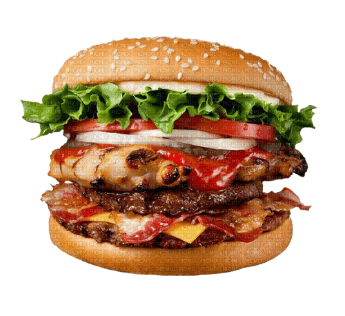GIANNIS TOUROUNTZAN - Burger - Free PNG