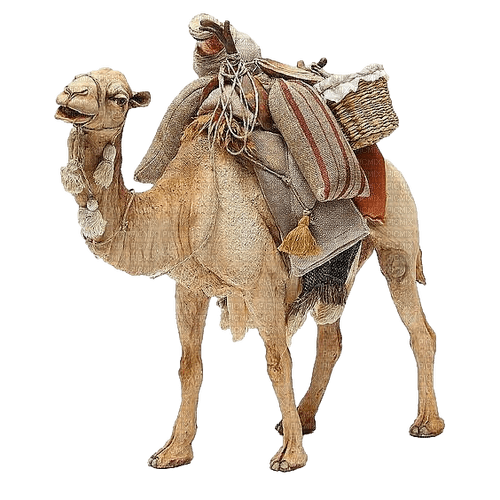 Camel.Camello.kamel.Victoriabea - ilmainen png