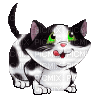cat - Ücretsiz animasyonlu GIF