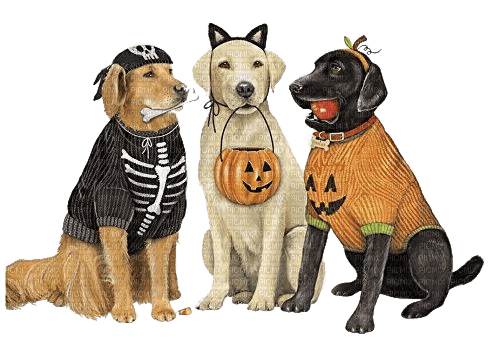 Halloween, Hunde, dogs - 無料png