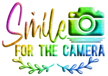 smile for the camera text - 免费PNG