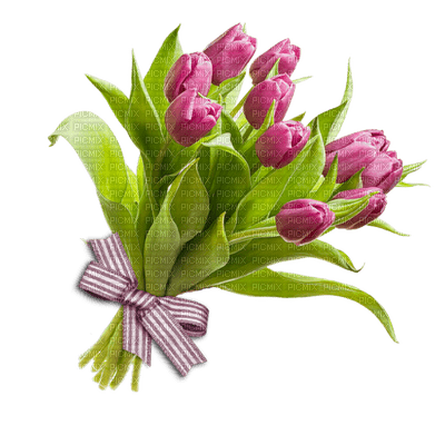 dulcineia8 flores - kostenlos png