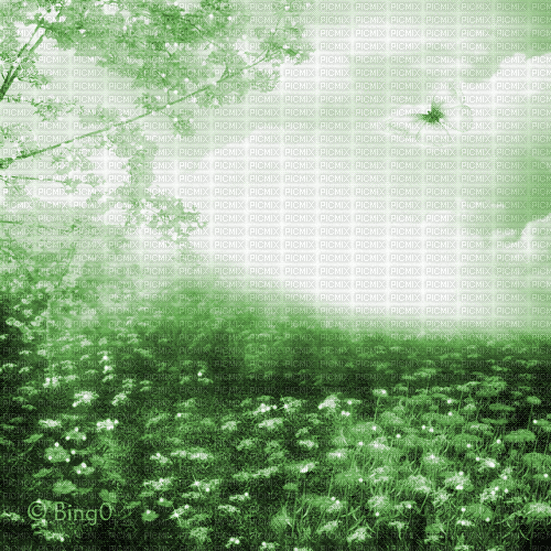 Y.A.M._Fantasy tales background green - Free animated GIF