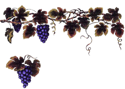 grapes bp - Besplatni animirani GIF
