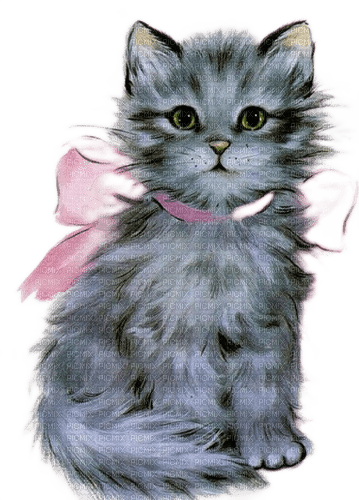 charmille _ animaux _ chat - ilmainen png