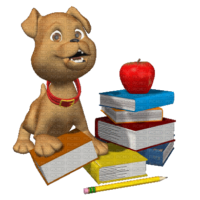 dog gif books chien gif livres - Free animated GIF - PicMix