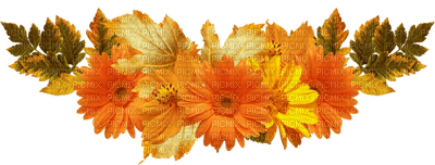 Flowers crown dm19 - δωρεάν png