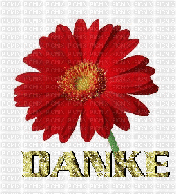 danke - GIF animado gratis