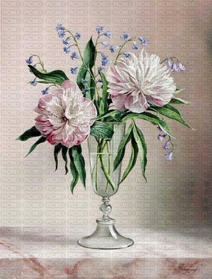 MMarcia flores fundo vintage - 免费PNG