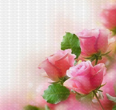 multicolore image encre la nature printemps bon anniversaire fleurs coin mariage rosa edited by me - ücretsiz png