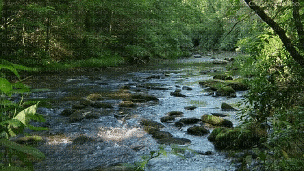 ani-landskap vatten - Besplatni animirani GIF