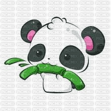Panda - png gratis
