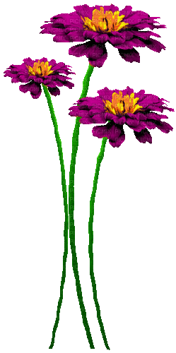 fleurs - GIF animasi gratis