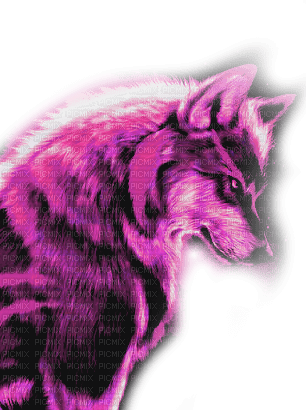 Pink wolf - darmowe png