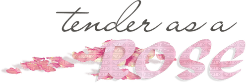 loly33 texte tender as a rose - gratis png