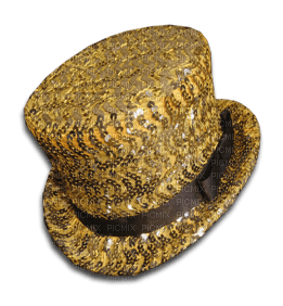 hat--Nitsa P - PNG gratuit