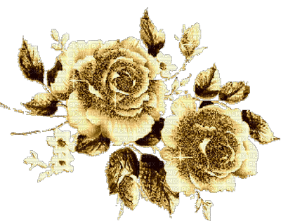 rosa dourada - GIF animé gratuit