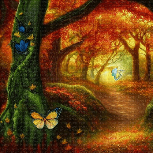 kikkapink fantasy background forest autumn - 無料png