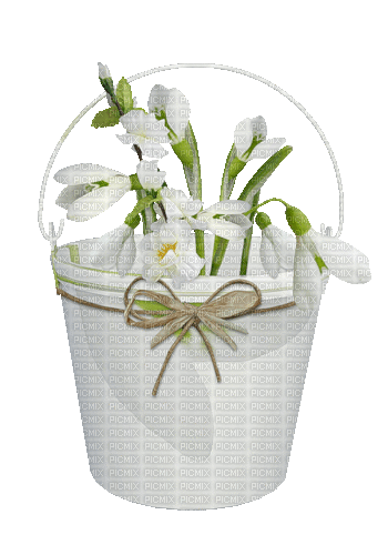 Blumen, Schneeglöckchen, Flowers - Darmowy animowany GIF