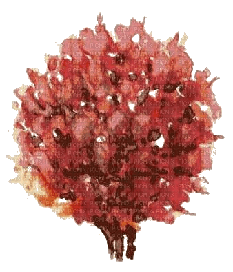 nbl-tree - безплатен png