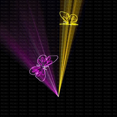 Butterfly neon background - Free animated GIF - PicMix