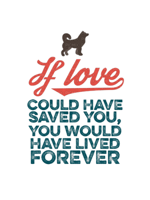 Quote, Quotes, Text, Signs, If Love, Red, Blue - Jitter.Bug.Girl - darmowe png