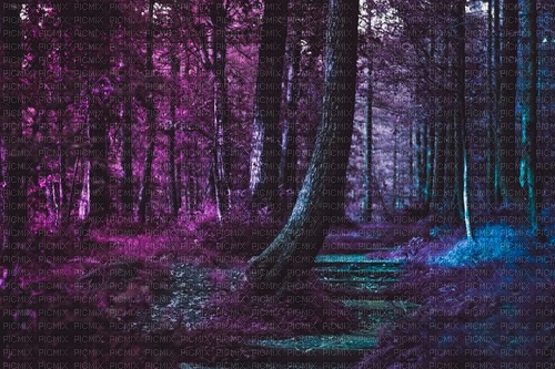 Forrest Background - фрее пнг
