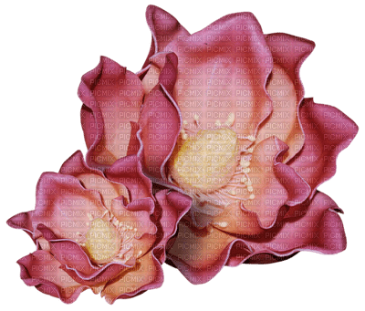 Kaz_Creations Flowers Flower Deco - PNG gratuit