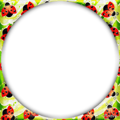 soave frame circle  ladybug flowers spring - png gratuito