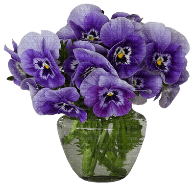 Kaz_Creations Flowers Deco Flower Colours Vase - png gratuito