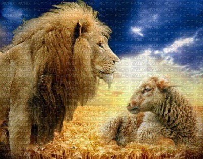 The Lion and the Lamb bp - png grátis
