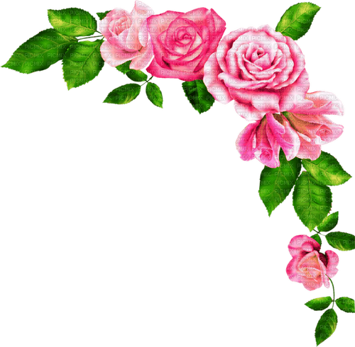 Roses.Pink - nemokama png