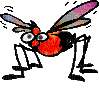 insect - Gratis animeret GIF