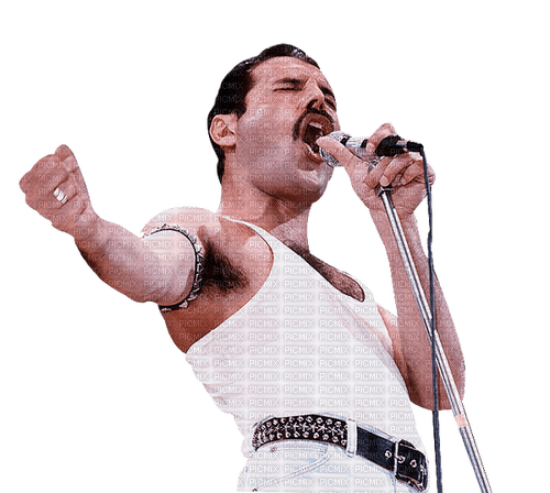 Freddie Mercury milla1959 - gratis png