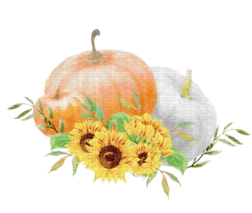 watercolor pumpkin Bb2 - бесплатно png