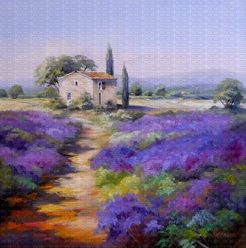 Lavender landscape French province - png ฟรี