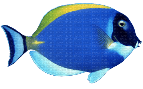 Frutiger aero fish - kostenlos png