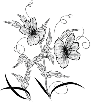 flowers anastasia - nemokama png