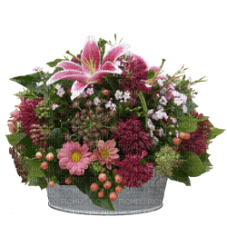Kaz_Creations Deco Flowers Flower Basket   Plant Colours - png ฟรี