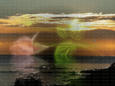 paysage avec fleur - 免费动画 GIF