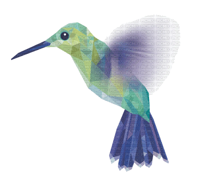 Kolibri - Animovaný GIF zadarmo